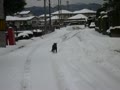 雪散歩♪