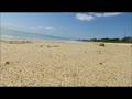 沖縄　名護のビーチ
